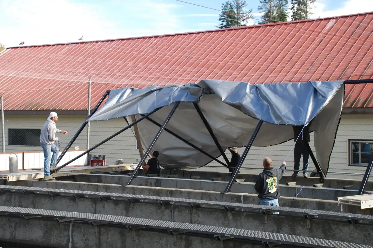 How to tarp a leaking roof